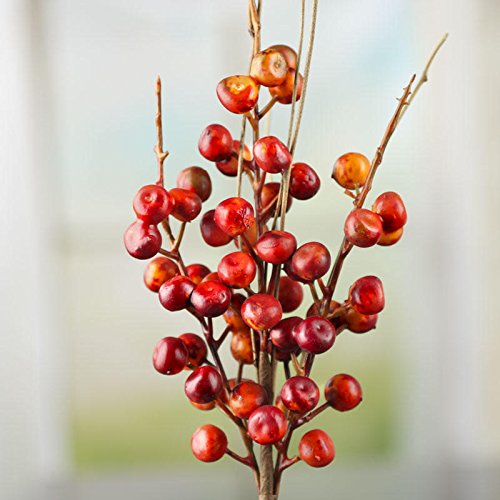 Factory Direct Craft Group of 4 Artificial Orange and Red Berry and Twig Picks for Home Decor, Crafting and Displaying