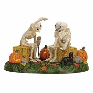 Department 56 Village Halloween Scary Skeleton Stories Accessory Figurine