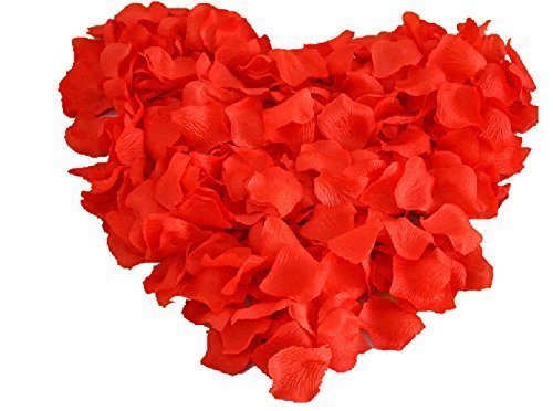 Fun Express - Heart Shaped Red Rose Petals (200 Pieces) (2-Pack)