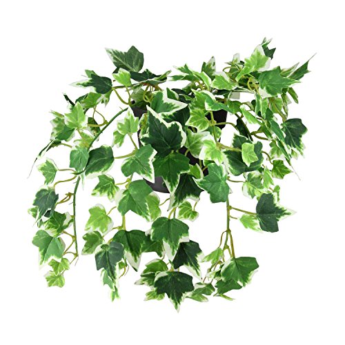 Northlight 8 Green and Off White Potted Spring Artificial Ivy Bush