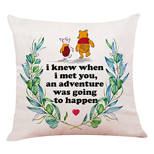 chillake Classic Winnie The Pooh Quotes Pillow Covers, Pooh Pillow Case Cushion Cover for Sofa Couch Decor 18x 18Inch, Funny Best Friend Friendship Quote Gift