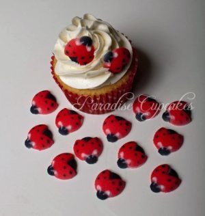 Set of 12 Edible Sugar Ladybug Toppers for Cakes or Cupcakes