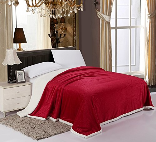 PlushComfort Luxurious Reversible Sherpa Lining Carved Velboa Comforter - Queen (Scarlet Red)