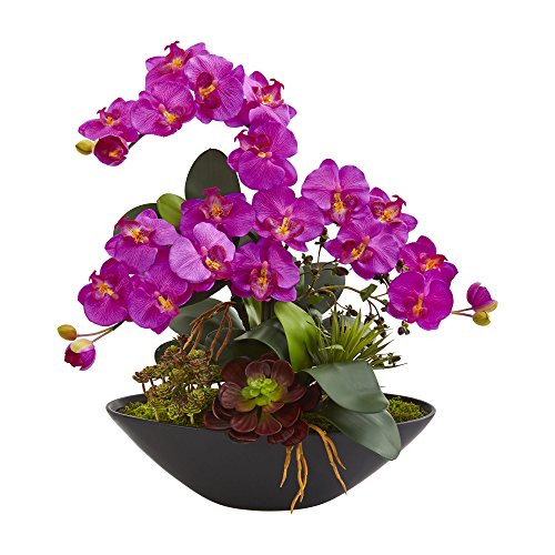 Nearly Natural 1605-OR Phalaenopsis Orchid and Mixed Succulent Garden Artificial Black Vase Silk Arrangements Purple