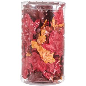 Darice 1620-99 100-Piece Brown Maple Leaves In a Canister