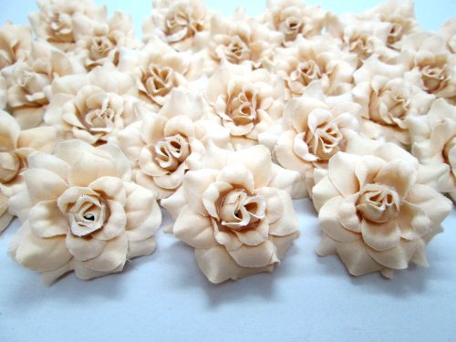 (100) Silk Cream Roses Flower Head - 1.75 - Artificial Flowers Heads Fabric Floral Supplies Wholesale Lot for Wedding Flowers Accessories Make Bridal Hair Clips Headbands Dress