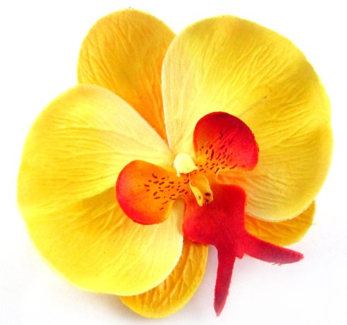 (10) Yellow Phalaenopsis Orchid Silk Flower Heads - 3.75 - Artificial Flowers Heads Fabric Floral Supplies Wholesale Lot for Wedding Flowers Accessories Make Bridal Hair Clips Headbands Dress