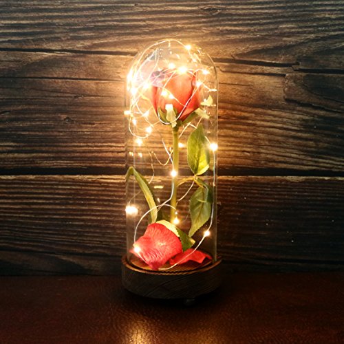 CVHOMEDECO. Battery Operated w/Timer LED Lighted and Red PU Rose with Fallen Petals in a Glass Dome, Great Gift for Valentine's Day Wedding Anniversary Birthday (4-1/2Dia. x 11-1/4H)