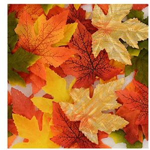 Autumn Maple Leaves 50 ct pack