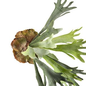Factory Direct Craft Artificial Green Staghorn Fern for Floral and Home Decor