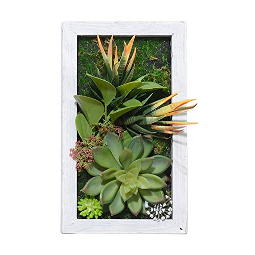 Artificial Flower-Wall Hanger 5.51 in9.84 in,3D Succulent Plants Aloe with Imitation Wood Photo Frame Shape Vase Living Room Decoration, White Frame