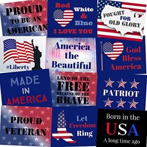 Patriotic Photo Booth Props - Memorial Day, 4th of July, Veterans Day - Party Signs - Set of 12 (Patriotic)