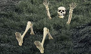 AMSCAN Lawn Skeleton Decoration, Halloween Props and Decorations, 12 Pieces