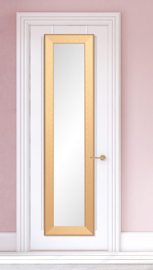 Designer Gold Slim Full Length Over the Door Mirror