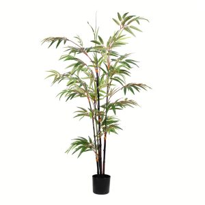 4' Potted Black Japanese Bamboo Tree