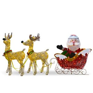 Santa with 2 Deer Sleigh
