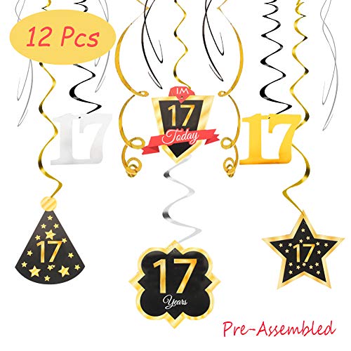 17 Birthday Decoration Happy 17th Birthday Party Silver Black Gold Foil Swirl Streamers I'm Seventeen Years Old Today Birthday Hat Gold Star Ornament Party Present Supplies