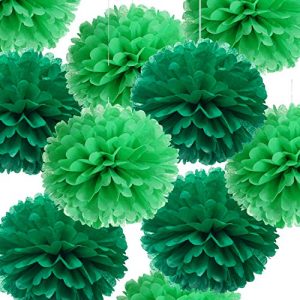 14 Green Tissue Pom Poms Kit DIY Decorative Paper Flowers Ball for Birthday Party Wedding Baby Shower Home Outdoor Hanging Decorations, Pack of 10