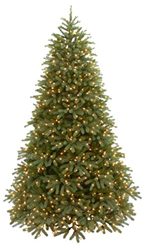 10' Feel Real Jersey Fraser Fir Medium Tree with 2000 Dual Color LED lights