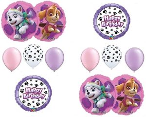PAW PATROL SKYE & EVEREST 10 PC. Birthday Balloons Decoration Supplies Party Chase Ryder