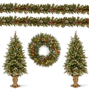 Frosted Berry Assortment- 2x 4' Entrance Trees with Clear Lights + 24 Wreath with Warm White Battery Operated Lights w/Timer + 2 x 9'x10 Garland with Clear Light