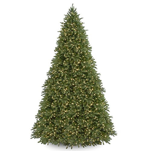 12' Feel Real Jersey Fraser Fir Tree with 2000 Clear Lights