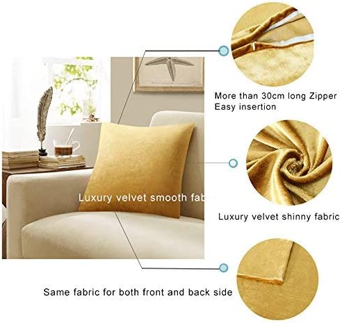 GIGIZAZA Gold Velvet Decorative Throw Pillow Covers,18x18 Pillow Covers for Couch Sofa Bed 2 Pack